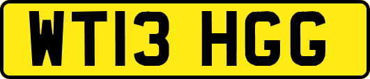 WT13HGG