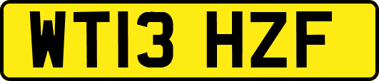 WT13HZF