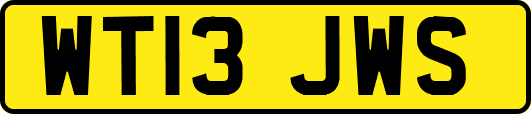 WT13JWS