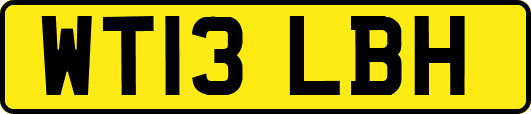 WT13LBH