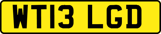 WT13LGD