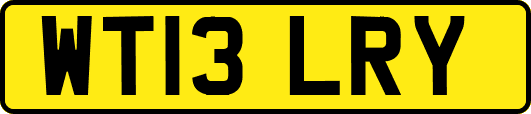 WT13LRY