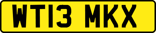 WT13MKX