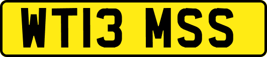 WT13MSS