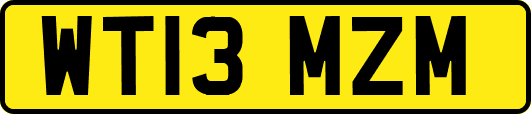 WT13MZM
