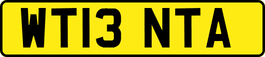 WT13NTA