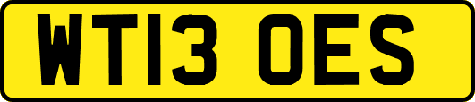 WT13OES