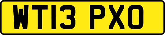 WT13PXO