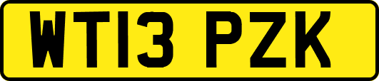 WT13PZK