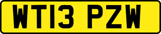 WT13PZW