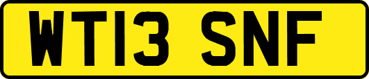 WT13SNF