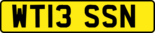 WT13SSN