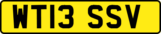 WT13SSV