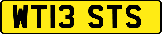 WT13STS