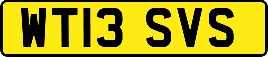 WT13SVS