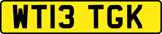 WT13TGK