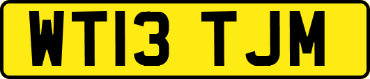 WT13TJM