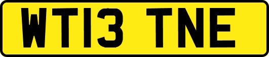 WT13TNE
