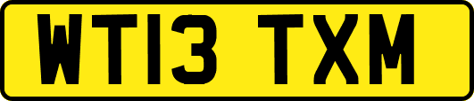 WT13TXM