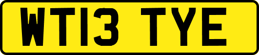 WT13TYE