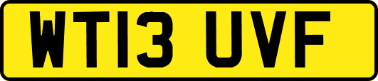 WT13UVF