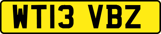 WT13VBZ