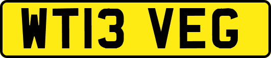 WT13VEG