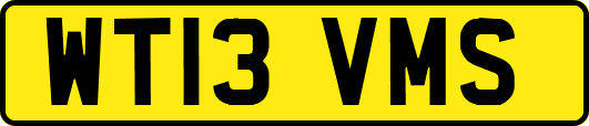 WT13VMS