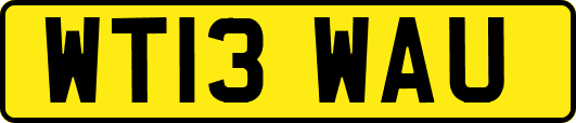 WT13WAU