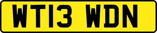 WT13WDN