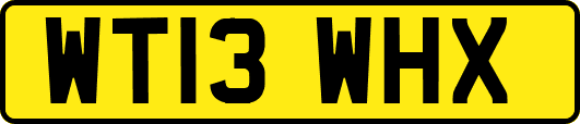 WT13WHX