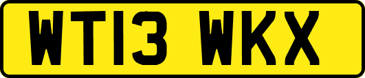 WT13WKX