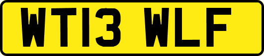 WT13WLF