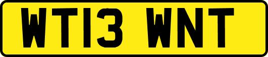 WT13WNT