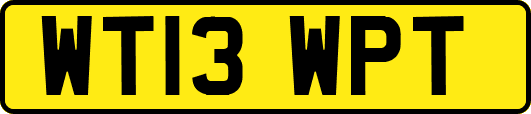 WT13WPT