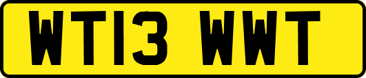 WT13WWT