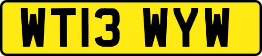 WT13WYW