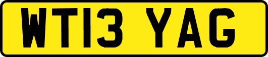 WT13YAG
