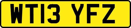 WT13YFZ