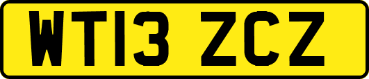 WT13ZCZ
