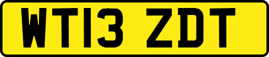 WT13ZDT