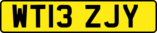 WT13ZJY