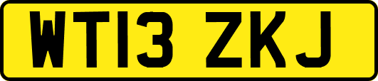 WT13ZKJ