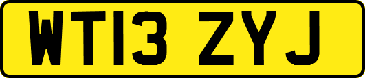 WT13ZYJ