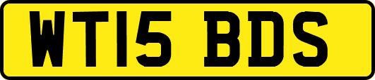 WT15BDS