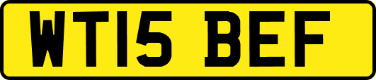 WT15BEF