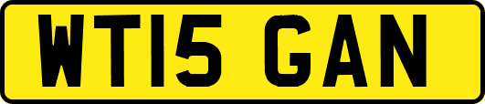 WT15GAN