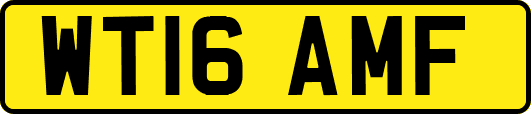 WT16AMF