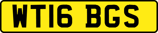 WT16BGS