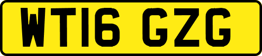 WT16GZG